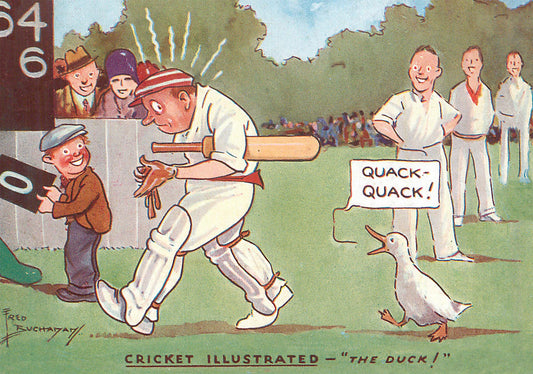 Cricket Puzzle - The Duck