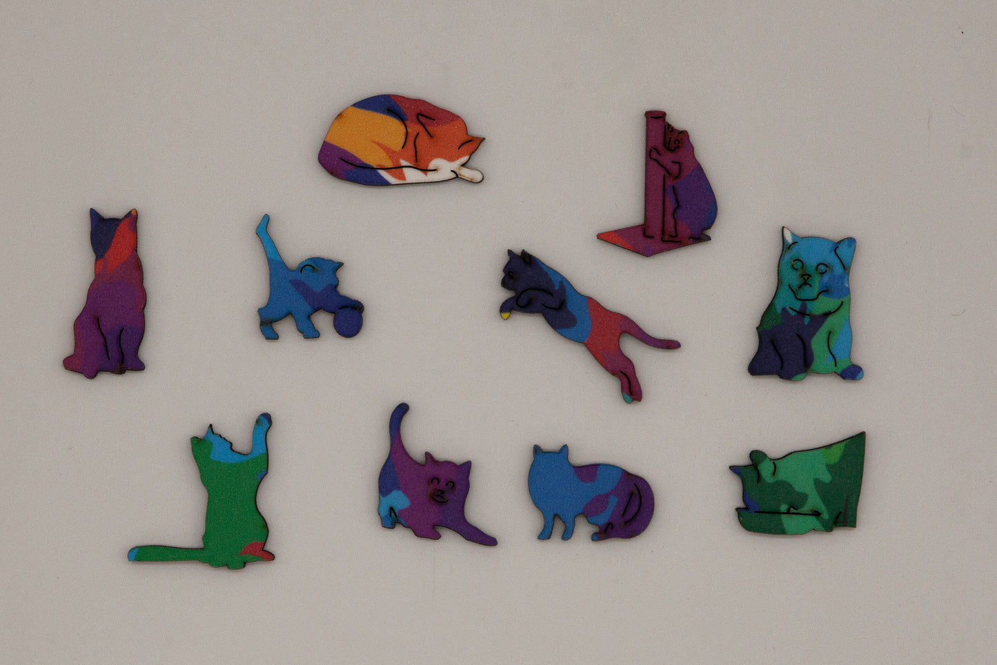 Colourful Cat