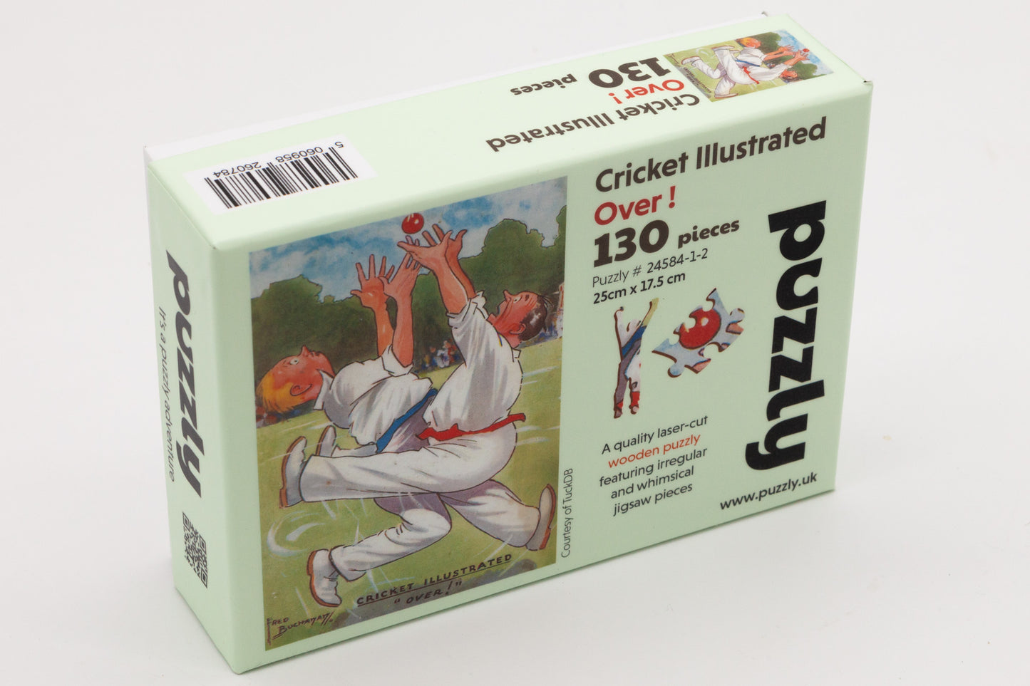 Cricket Puzzle - Over!