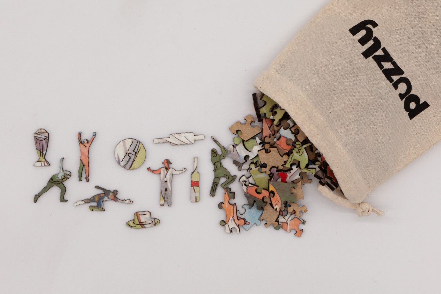 Cricket Puzzle - Over!