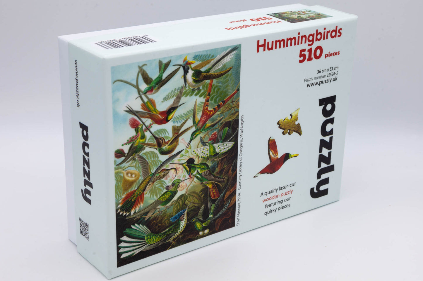 Hummingbirds